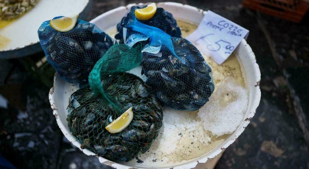 Sequestrati 11 kg di frutti di mare non conformi a Caserta