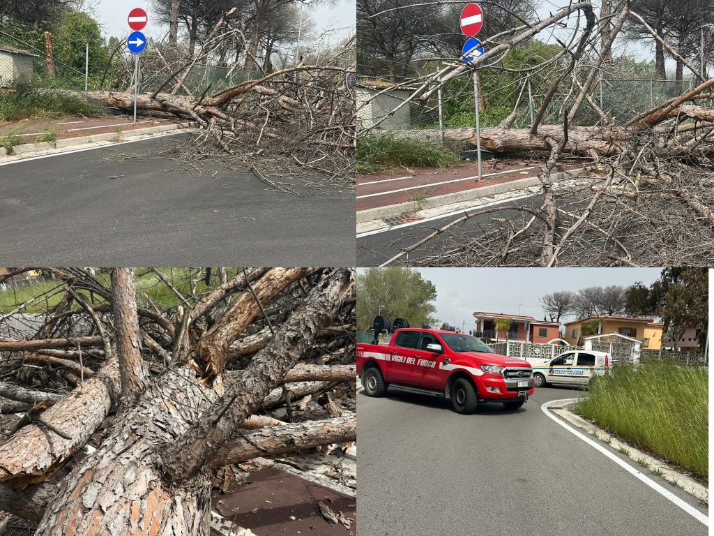 Vento Forte a Castel Volturno: Alberi Caduti Creano Disagi Strada